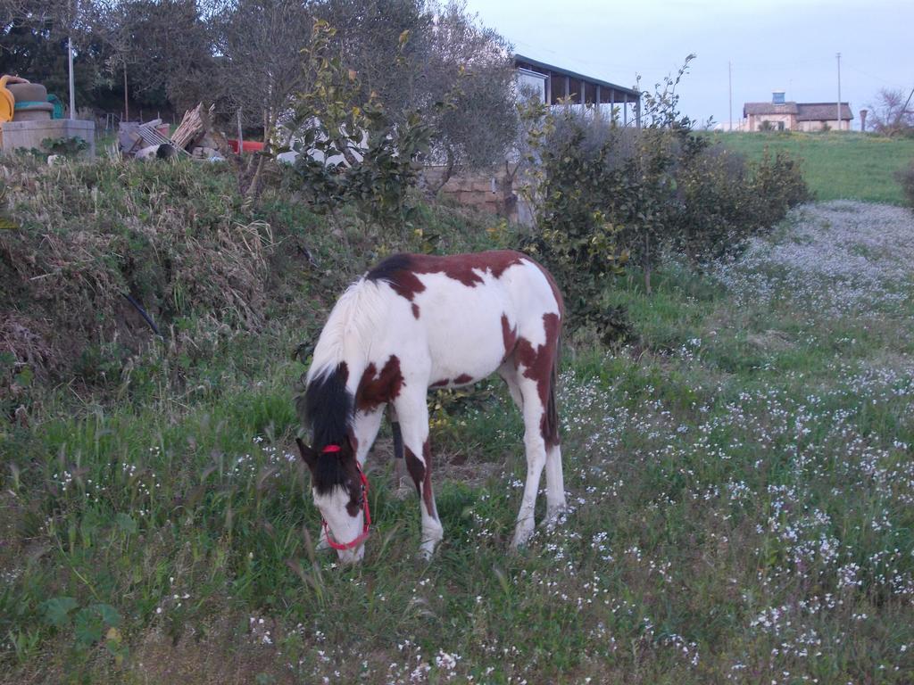 Agriturcostabaira Villa Caltagirone Kültér fotó